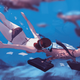 Illustration for article titled Kikis Express Delivery Service
